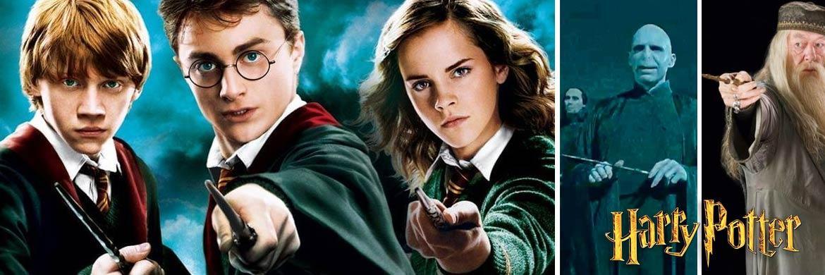 Bacchette Magiche Harry Potter