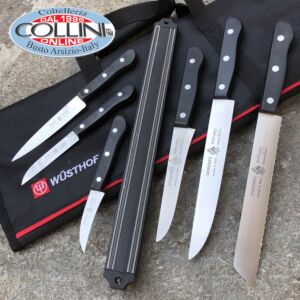 Set coltelli cucina professionali 6 pezzi con borsa porta coltelli e calamita - coltelli cucina