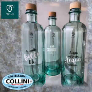 WILD BOTTLE - Bottiglia in vetro riciclato - Linea MOOD - NEWS - 700ml.