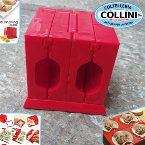 Dumpling Cube - Stampo e formina per ravioli cinesi, dolci e salati - utensile cucina